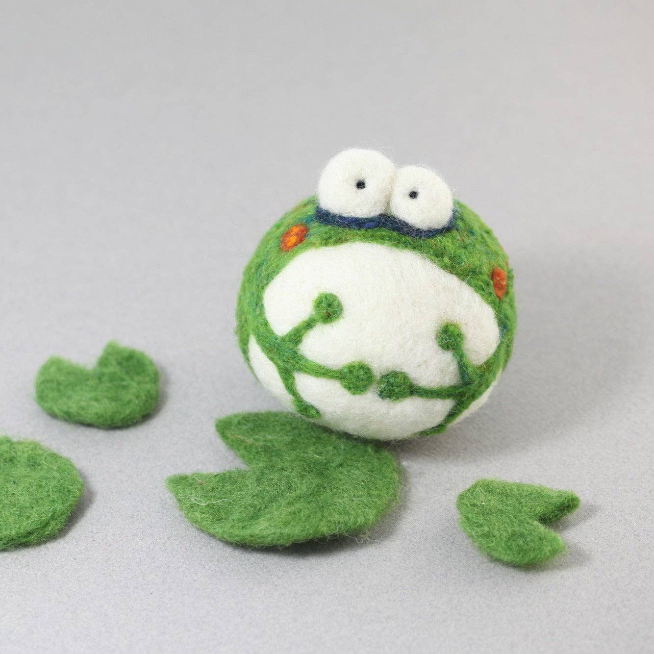 DIY Needle Felting Kit – Frog
