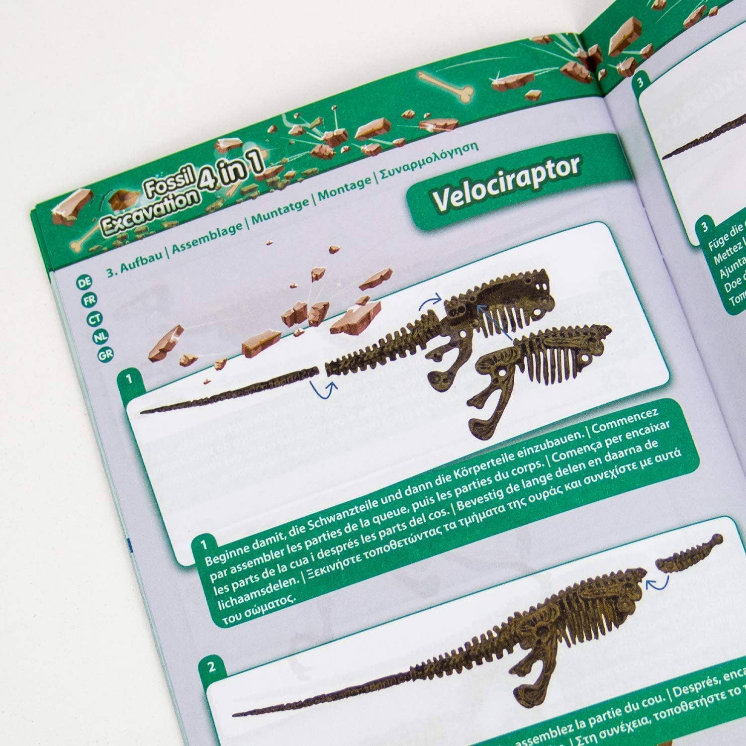 Fossil Excavation 4 in 1