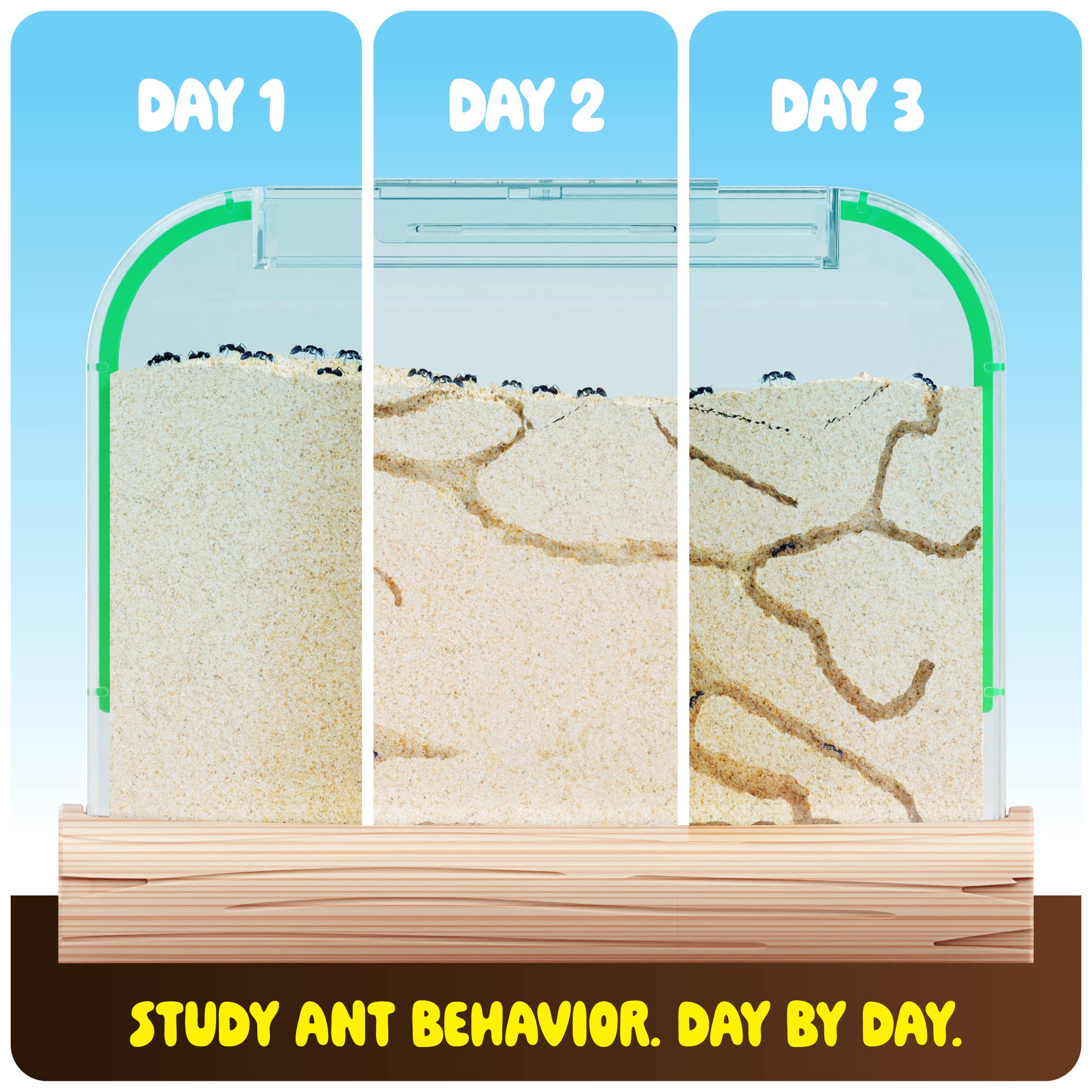 Ant Farm Kit for Kids, Sand Habitat, Includes Ant Voucher