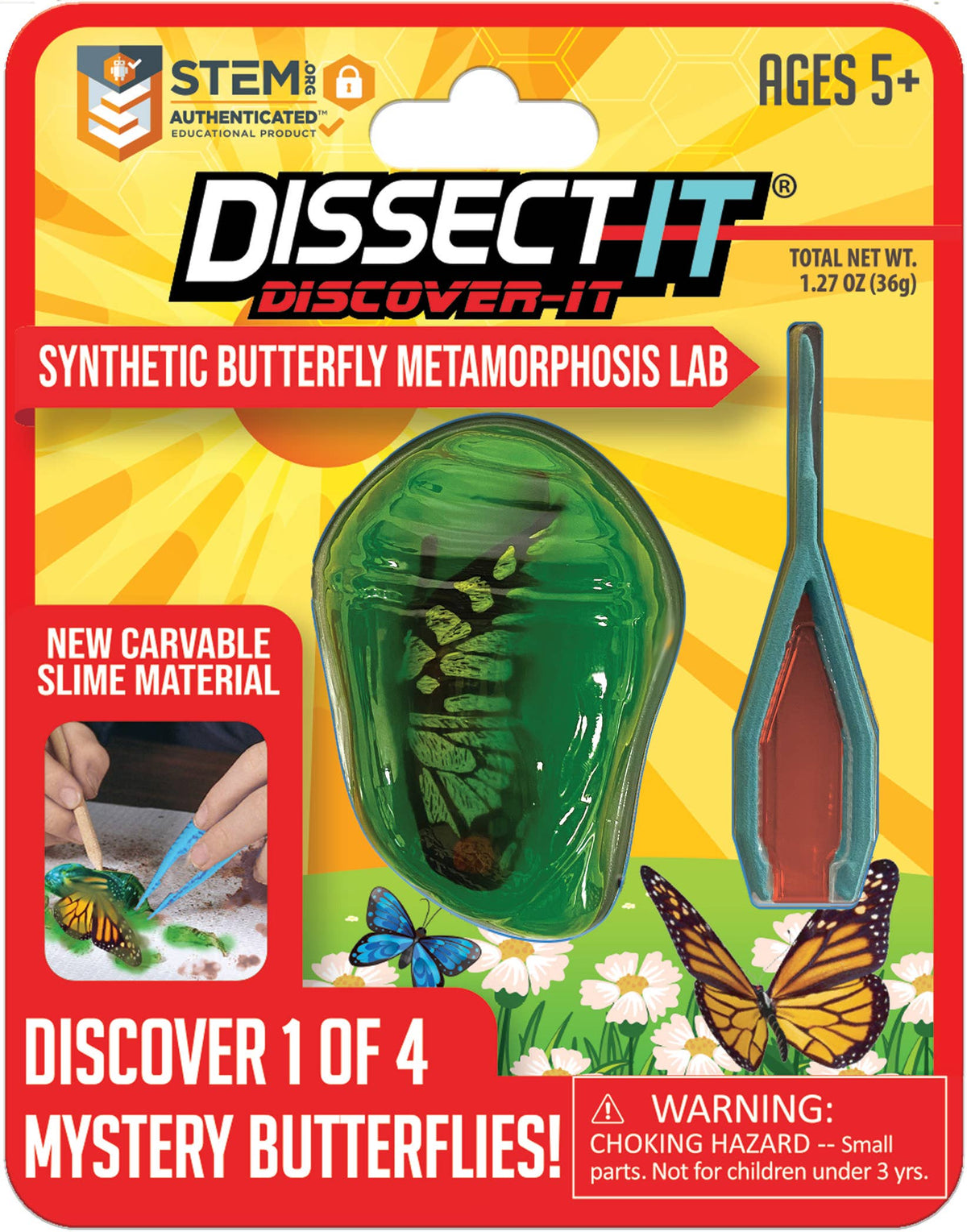 Discover-It Dissect It Butterfly Metamorphosis Lab