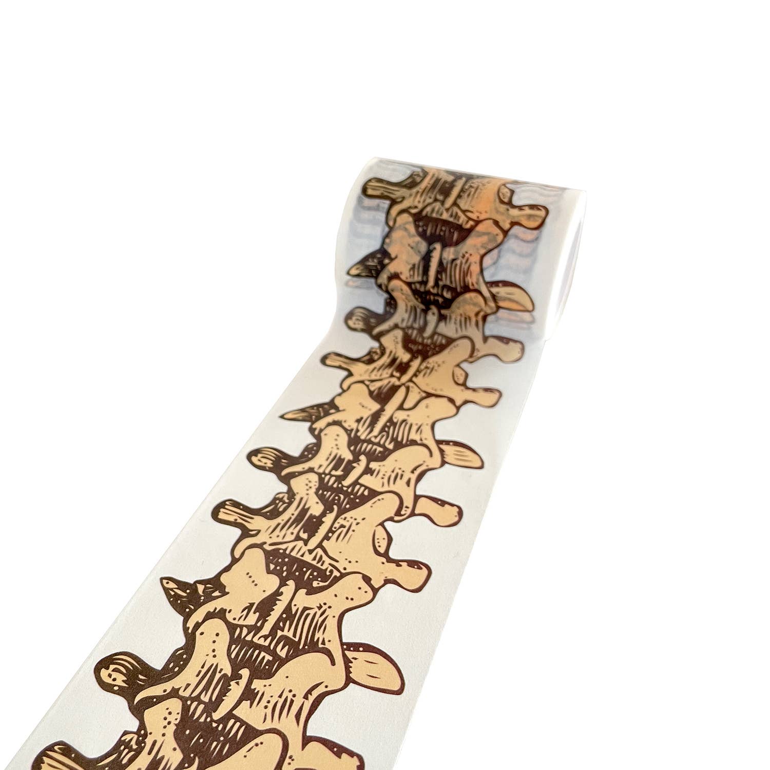 This Is Spinal Tape |
Skeleton Anatomy Washi Tape