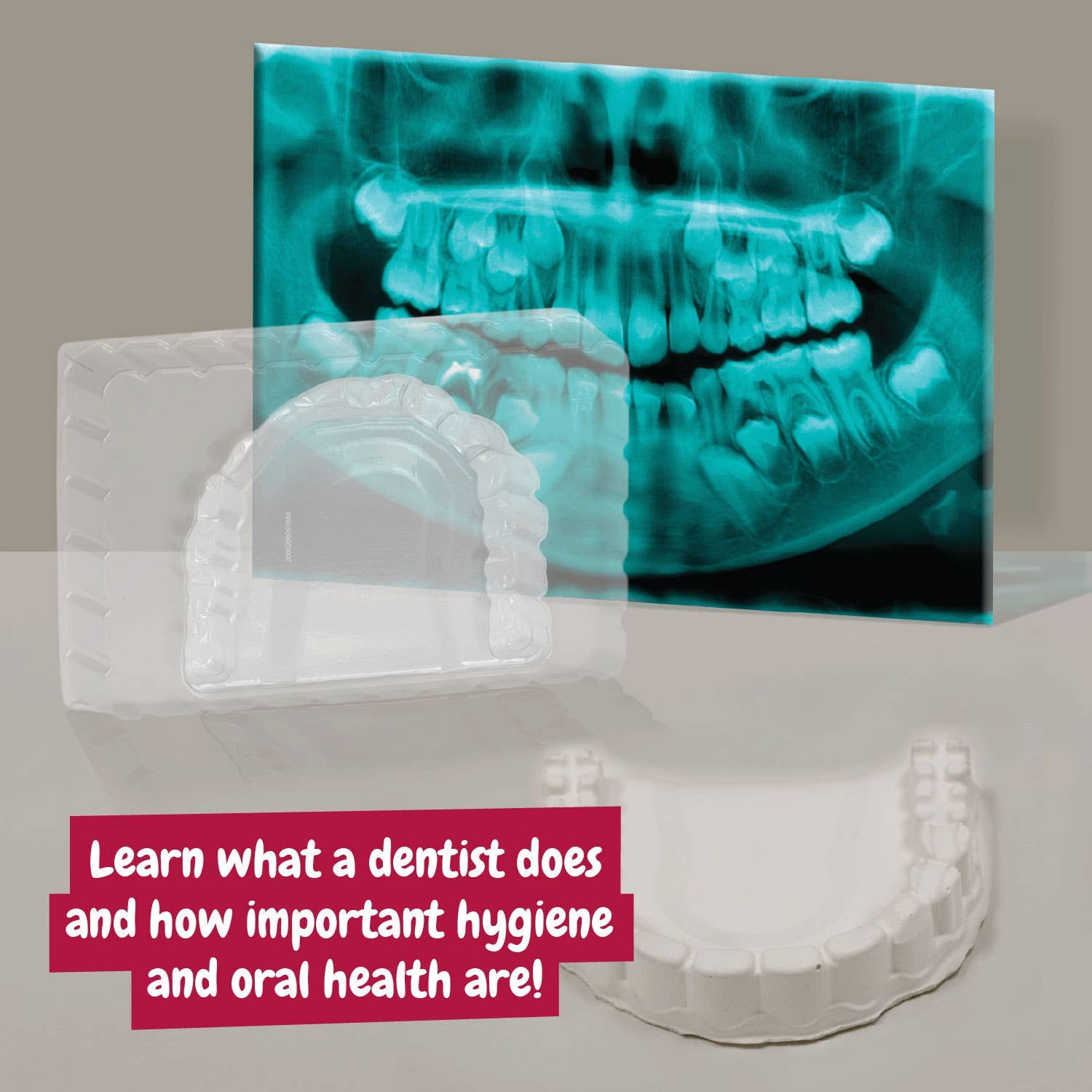 First Dentist Kit for Kids - Toy for Kids (7 languages)