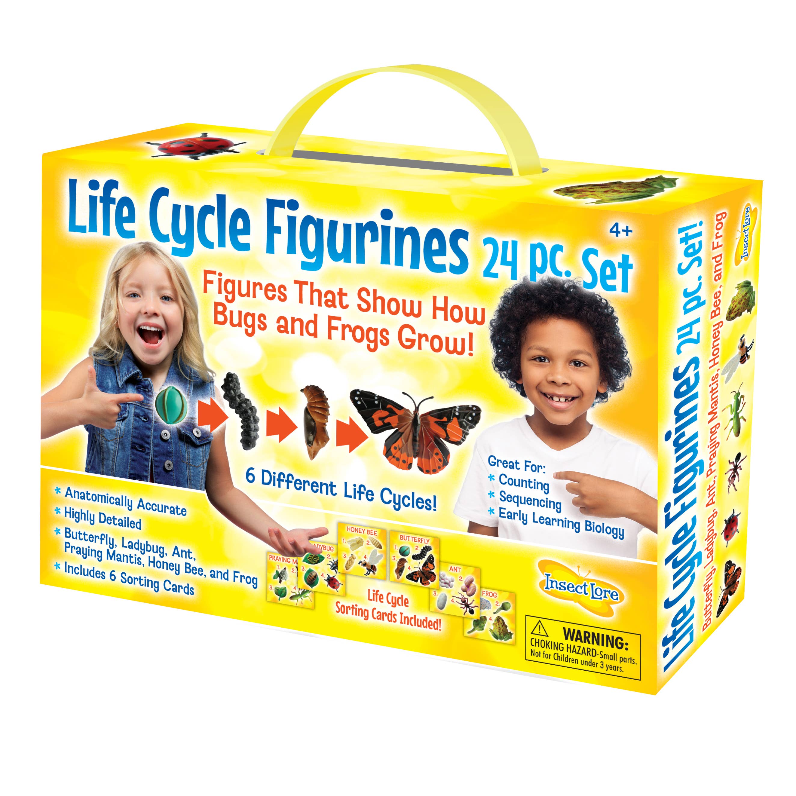Life Cycle Figurines - 24 Piece Set