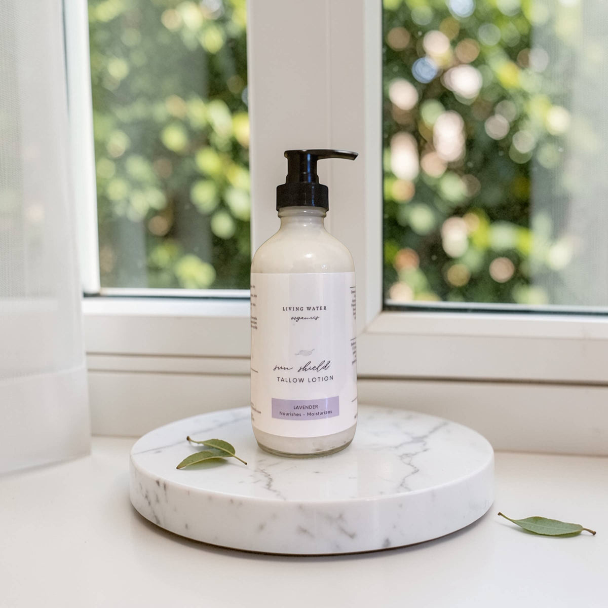 Tallow Sun Shield Lotion
