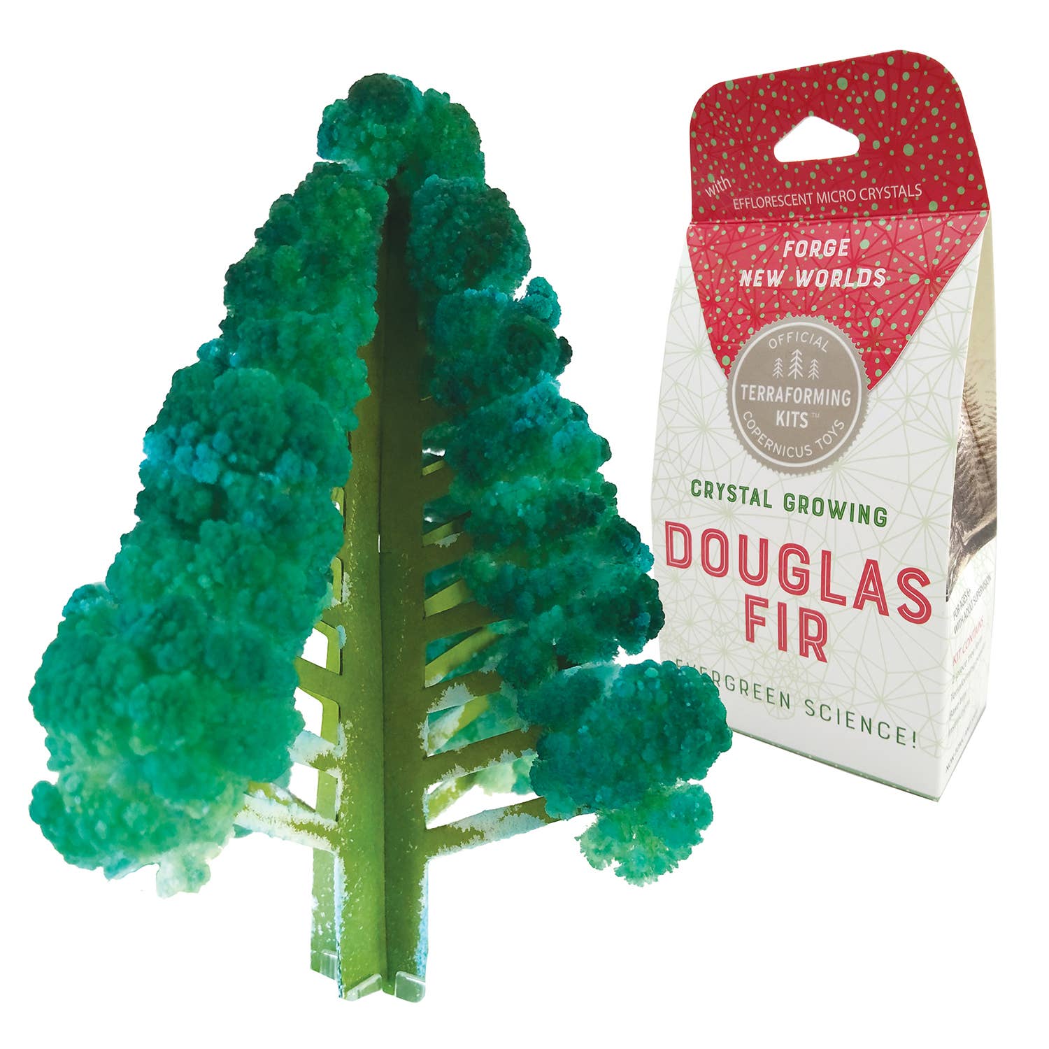 Crystal Growing Douglas Fir |
Christmas STEM craft kit