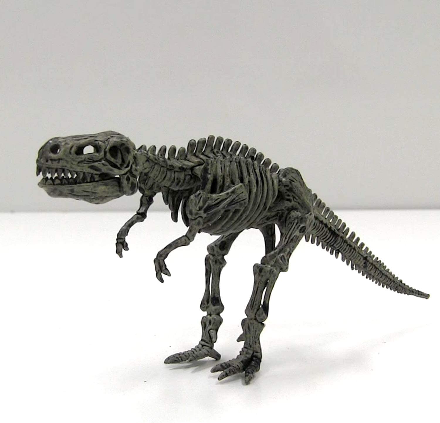 Fossil Excavation 4 in 1