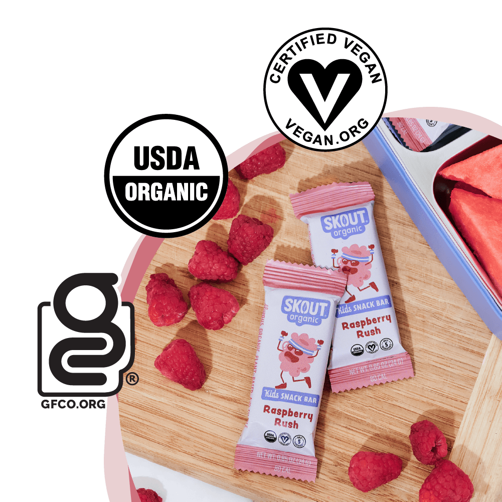 Skout Organic Raspberry Rush Kids Snack Bar | Nut-Free