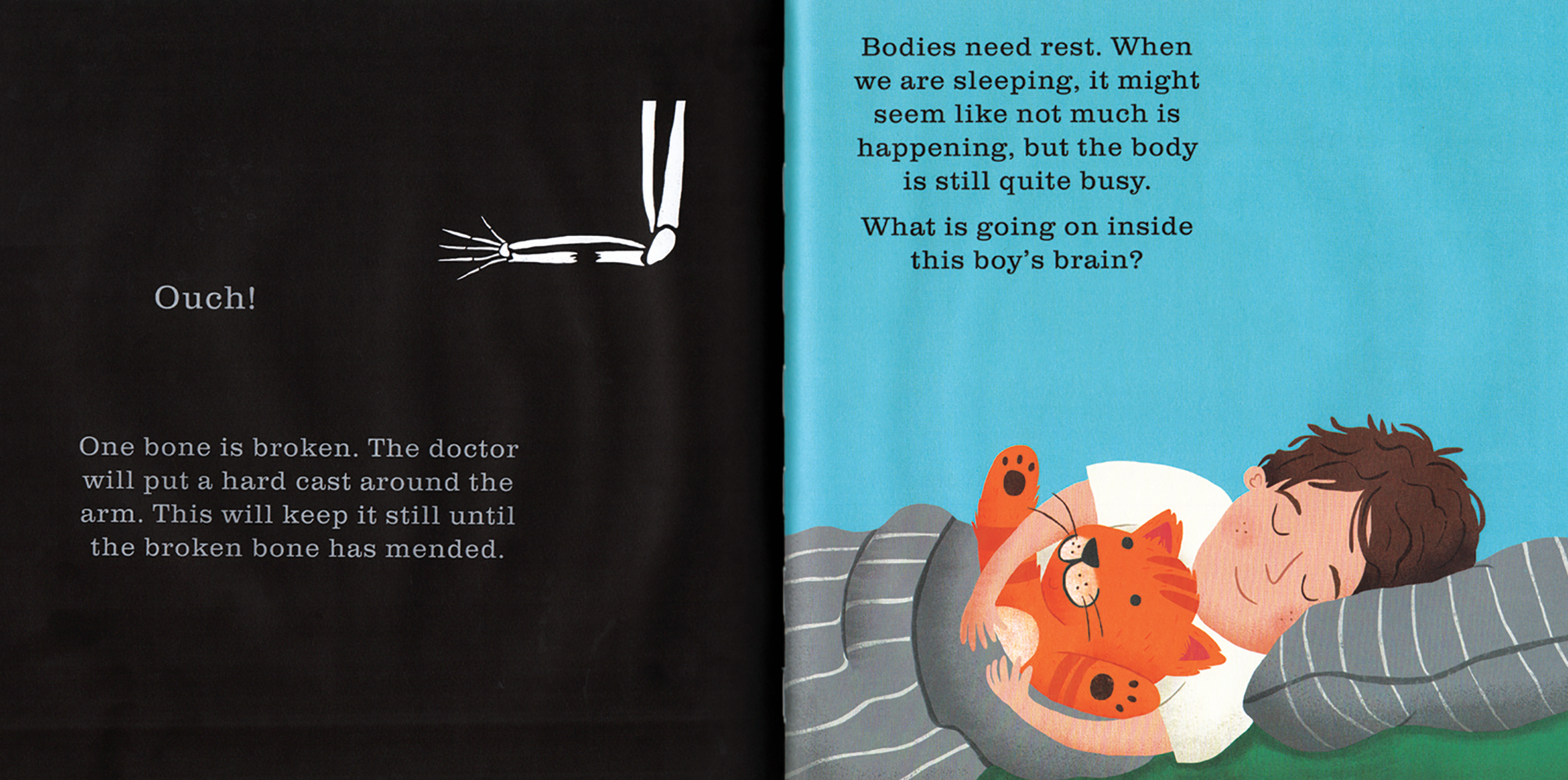 Shine-A-Light: The Human Body