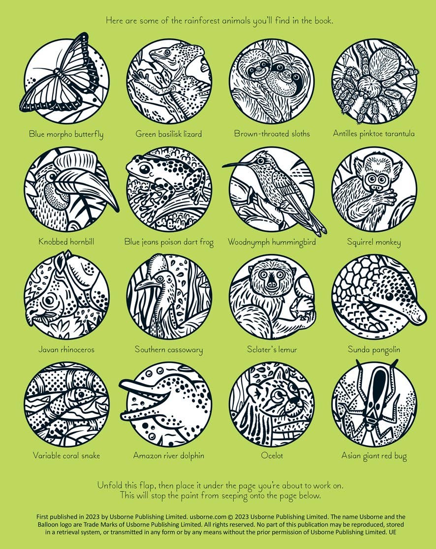 Rainforest Magic Painting Book : Usborne