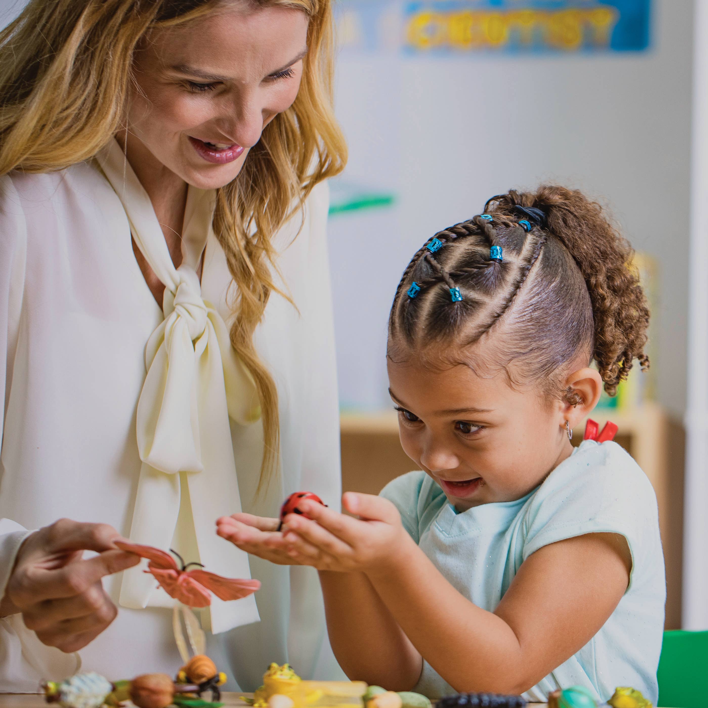 Life Cycle Figurines - 24 Piece Set