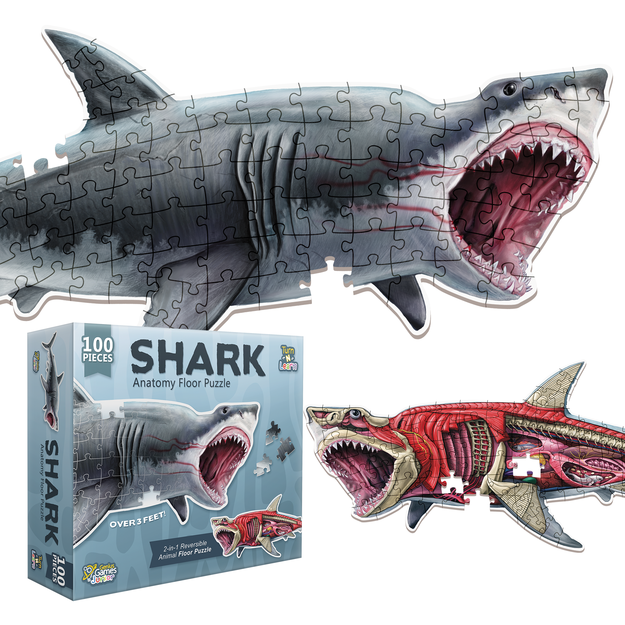 Turn N Learn: Shark Puzzle