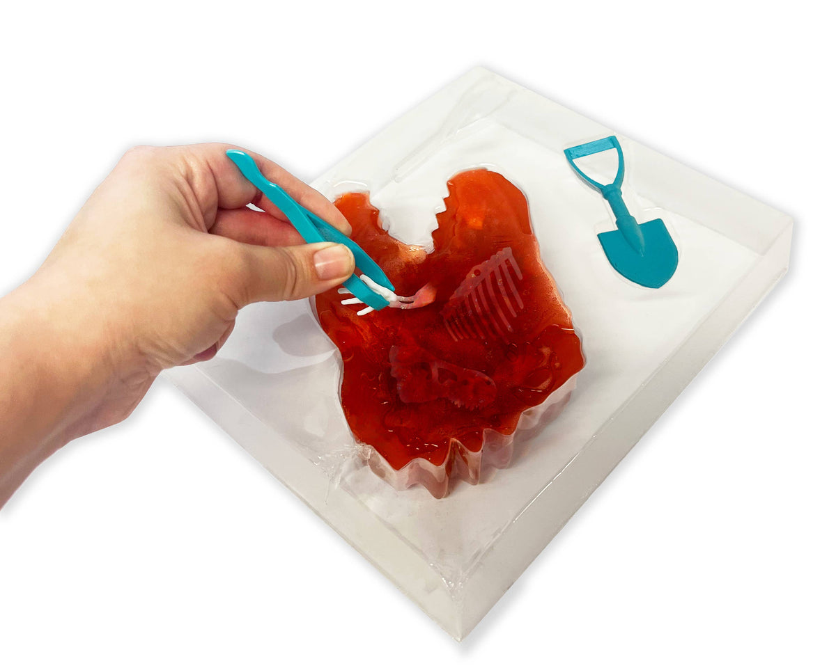 Discover-It Dissect It Dinosaur Dig