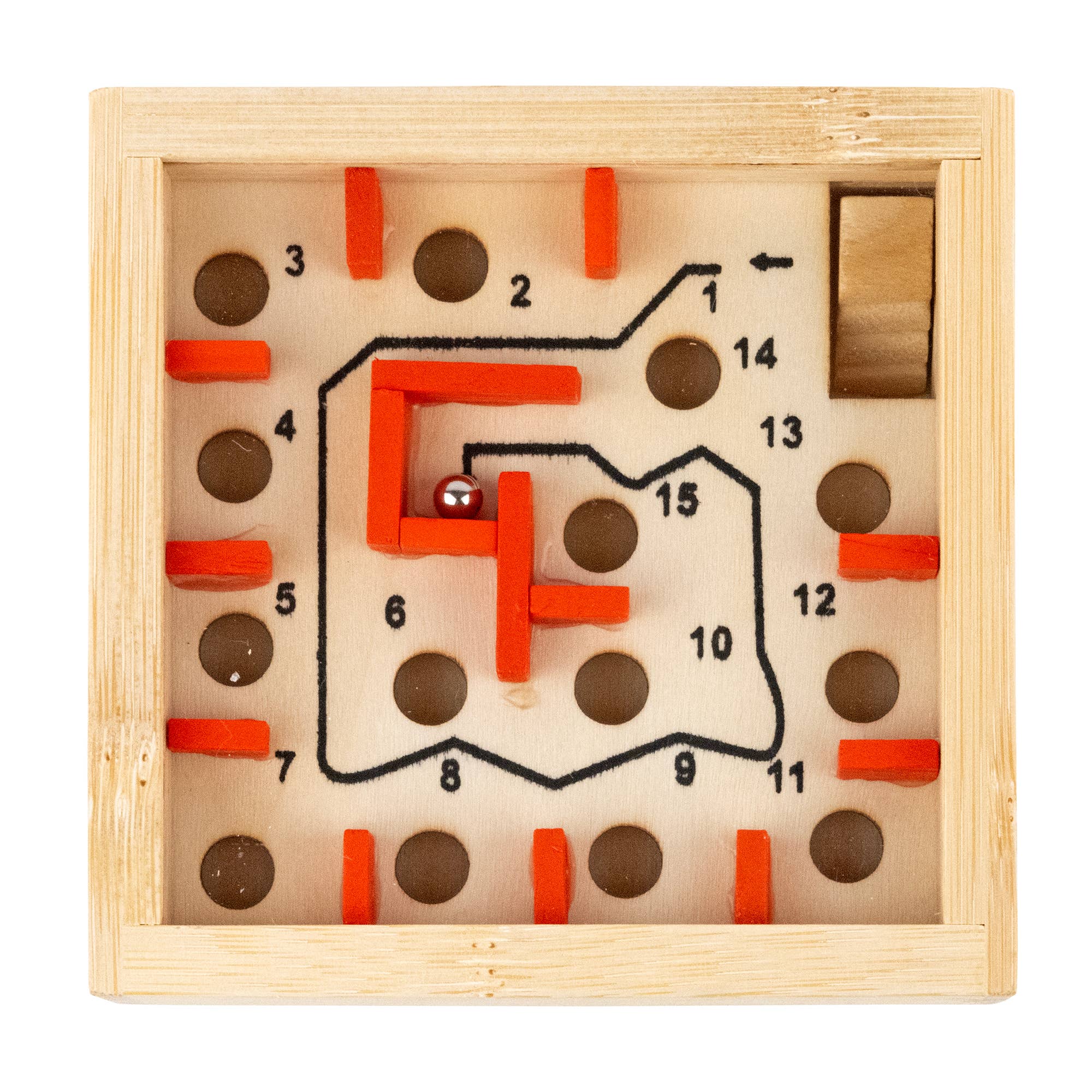 The Great Coral Maze -Ecologiclas Bamboo Maze