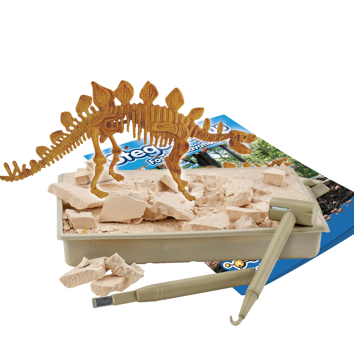 Stegosaurus Fossil Excavation - Toy for Kids (8 Languages)