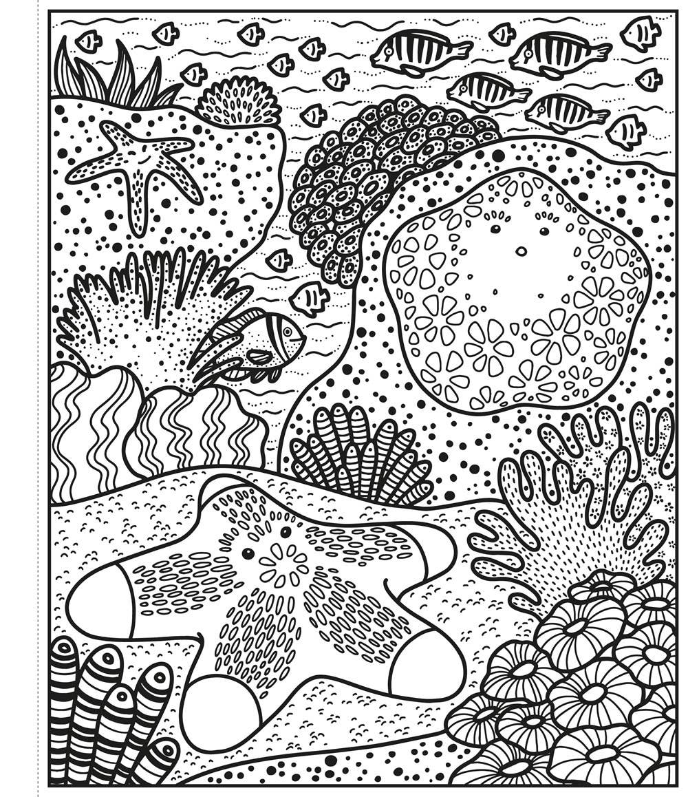 Coral Reef Magic Painting Book : Usborne