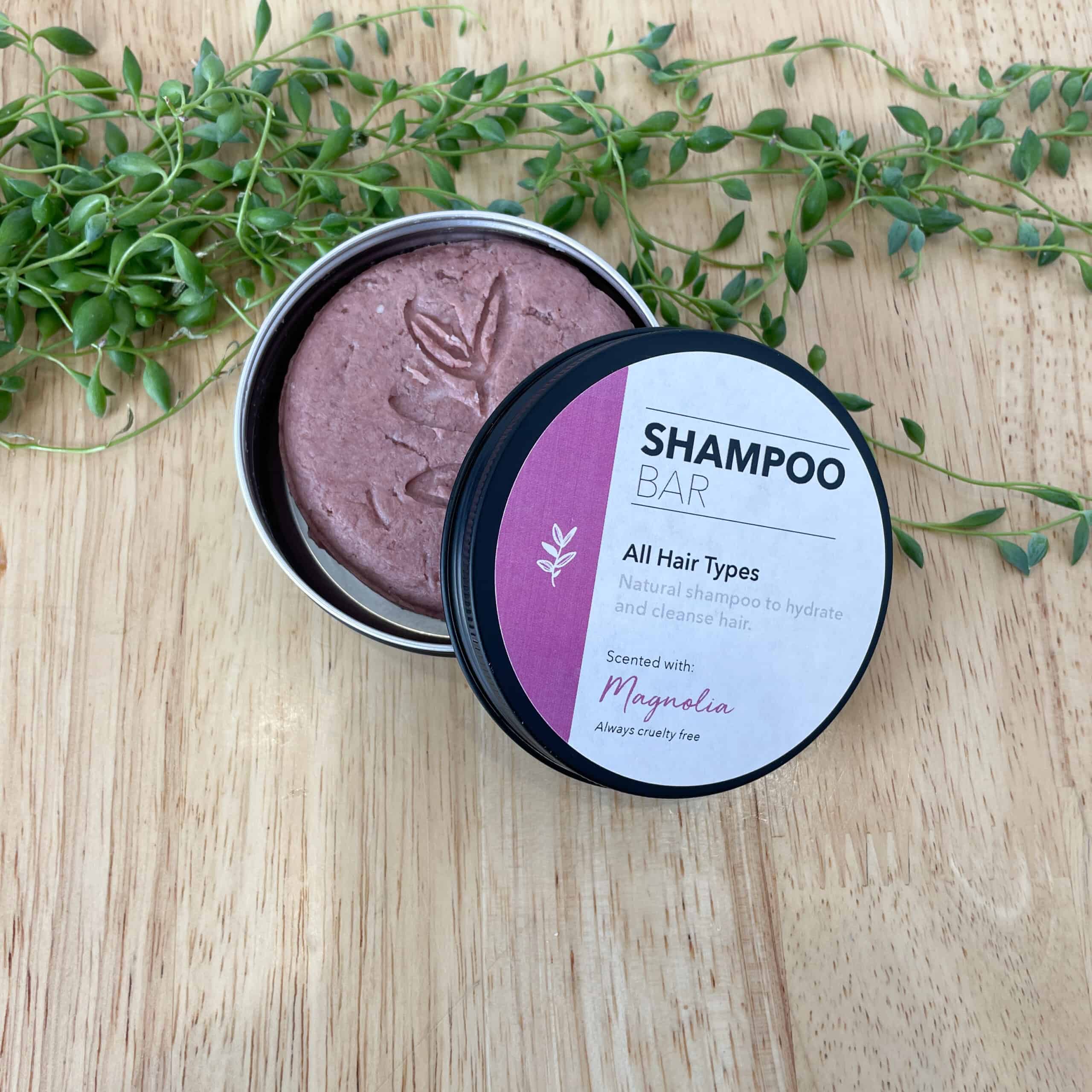 Shampoo Bar