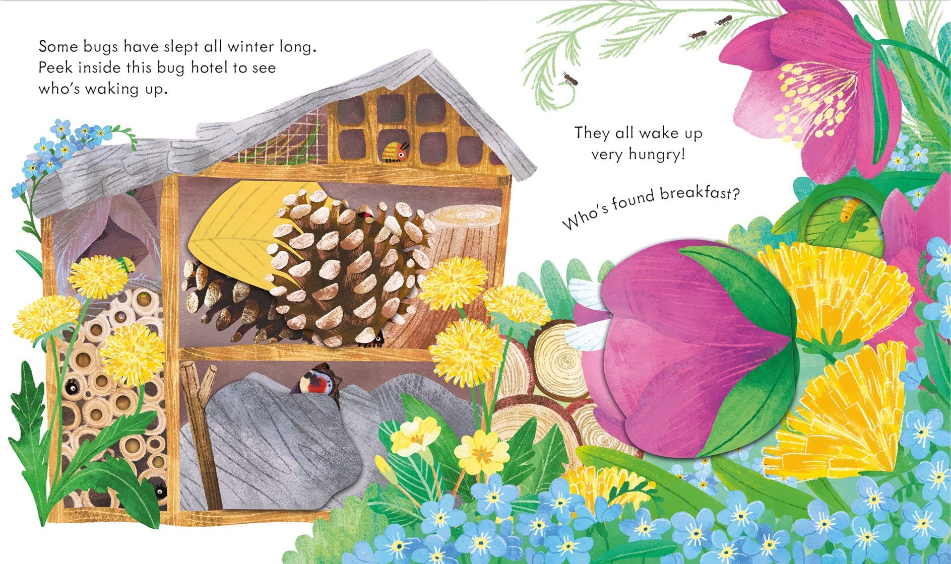 Peek Inside Springtime : Usborne
