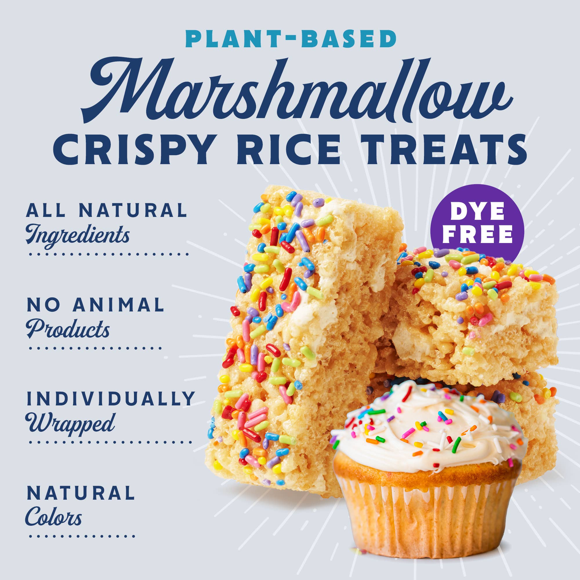 Vegan Rice Crispy Treats Individually Wrapped Box of 8