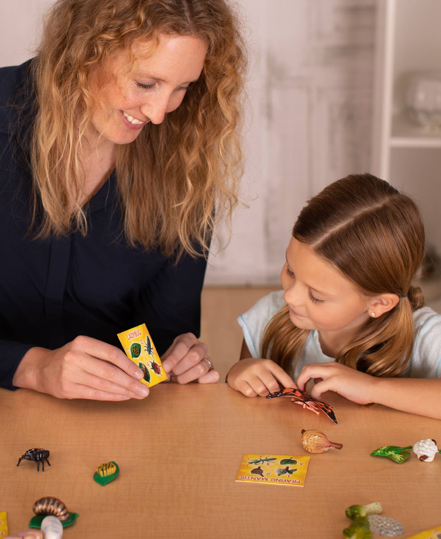 Life Cycle Figurines - 24 Piece Set