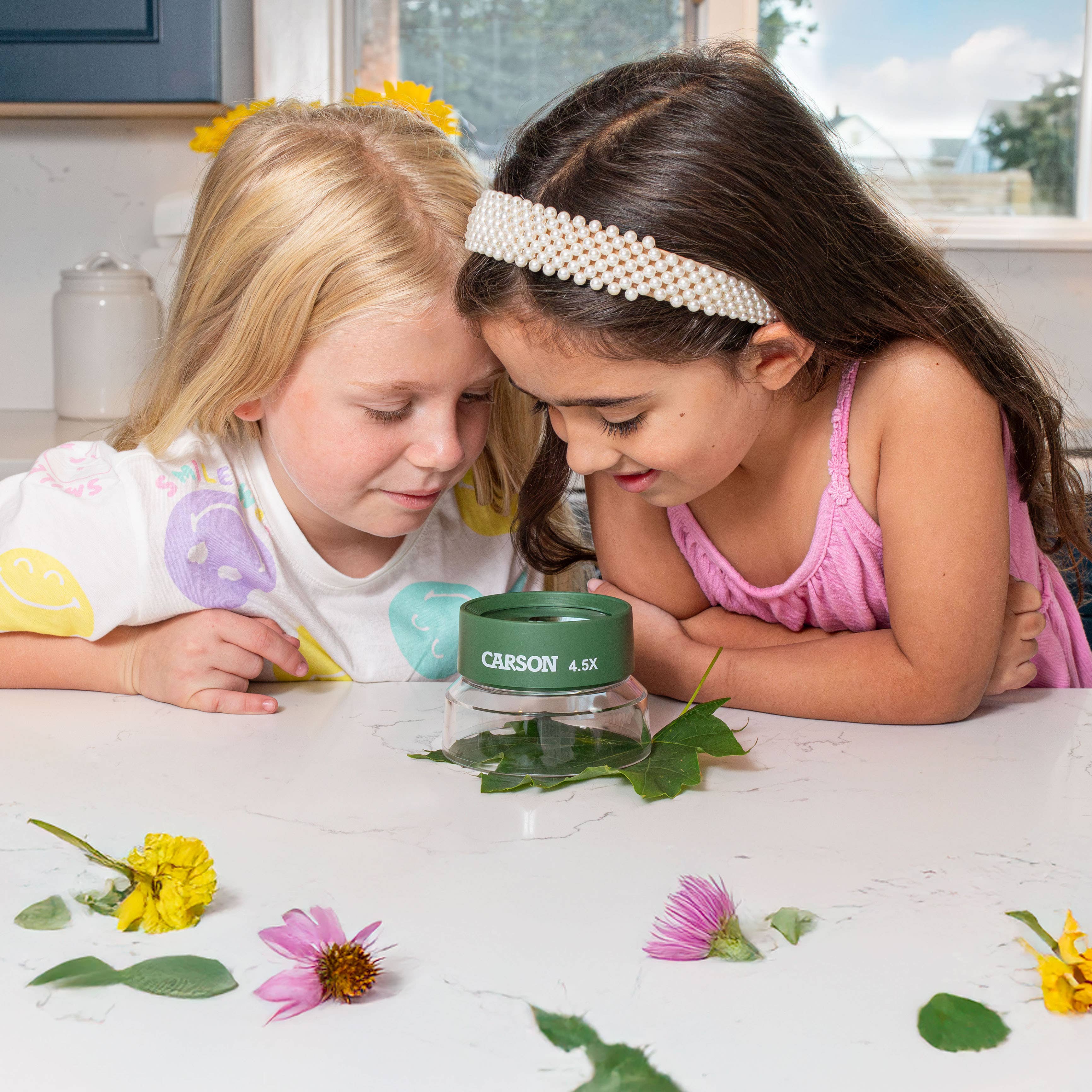 Pre-Focused Stand Magnifier Loupe for Kids, Insect Viewer