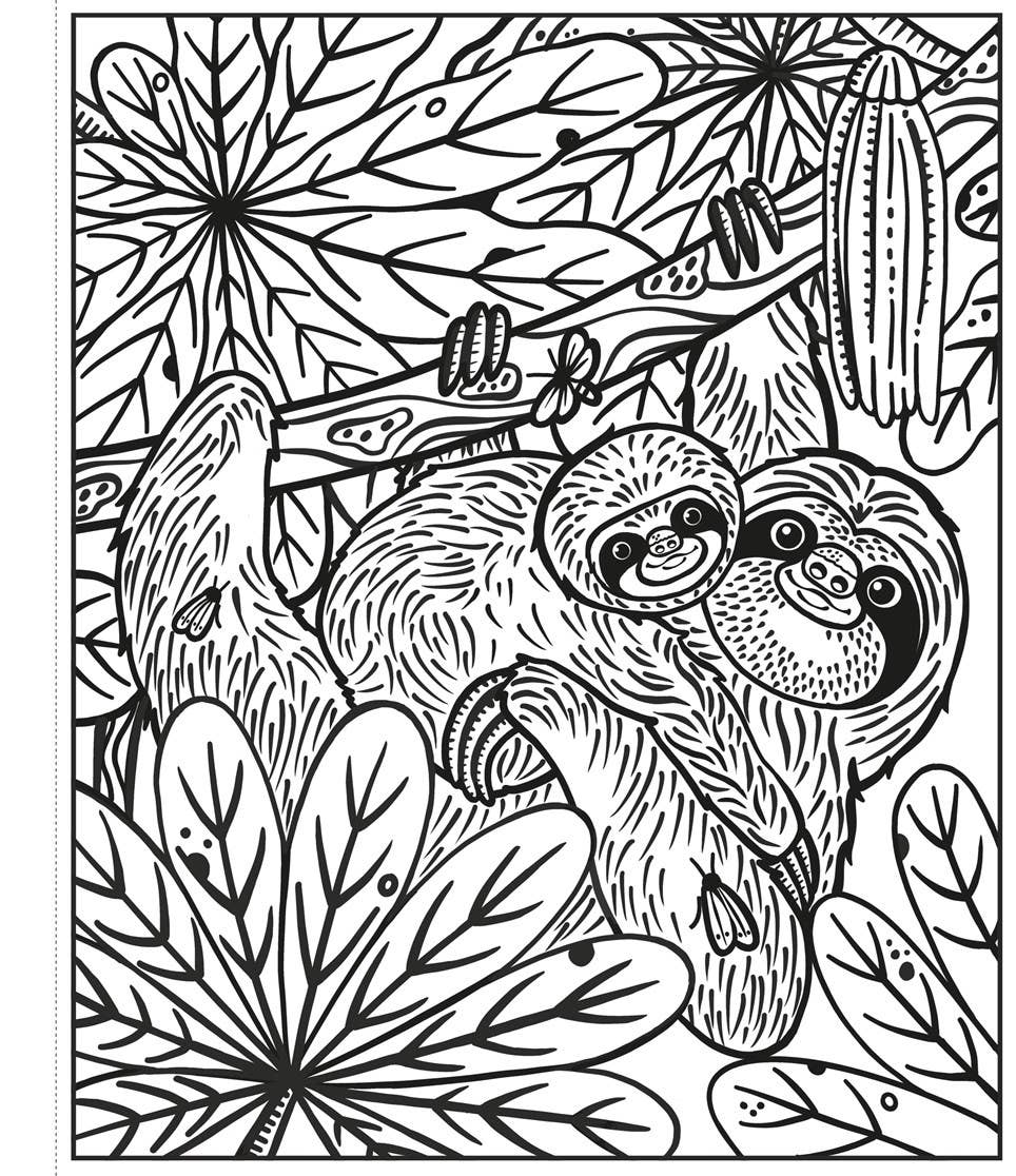 Rainforest Magic Painting Book : Usborne