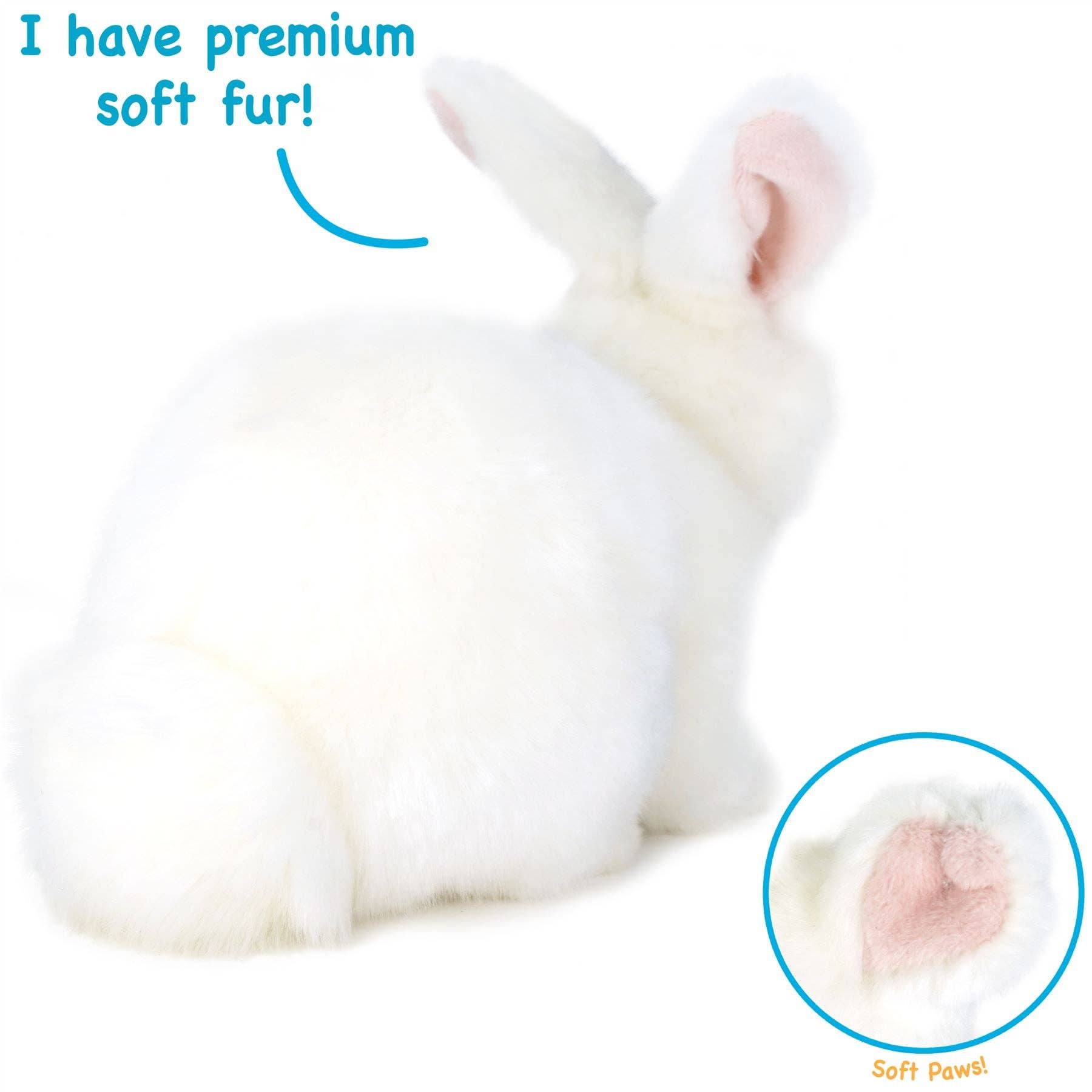 Wren the White Rabbit | 10 Inch Stuffed Animal Plush