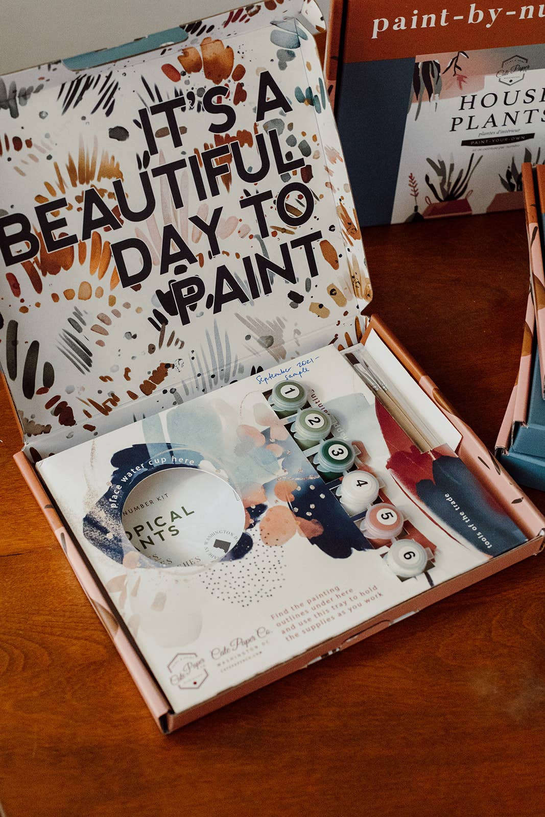Cherry Blossoms Paint-By-Numbers kit