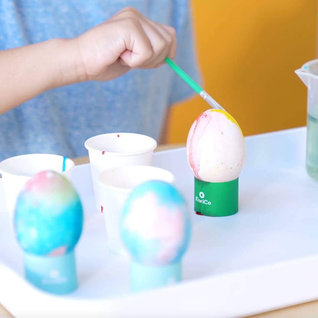 Eggsperiments, DIY Egg Experiment Kit for Kids
