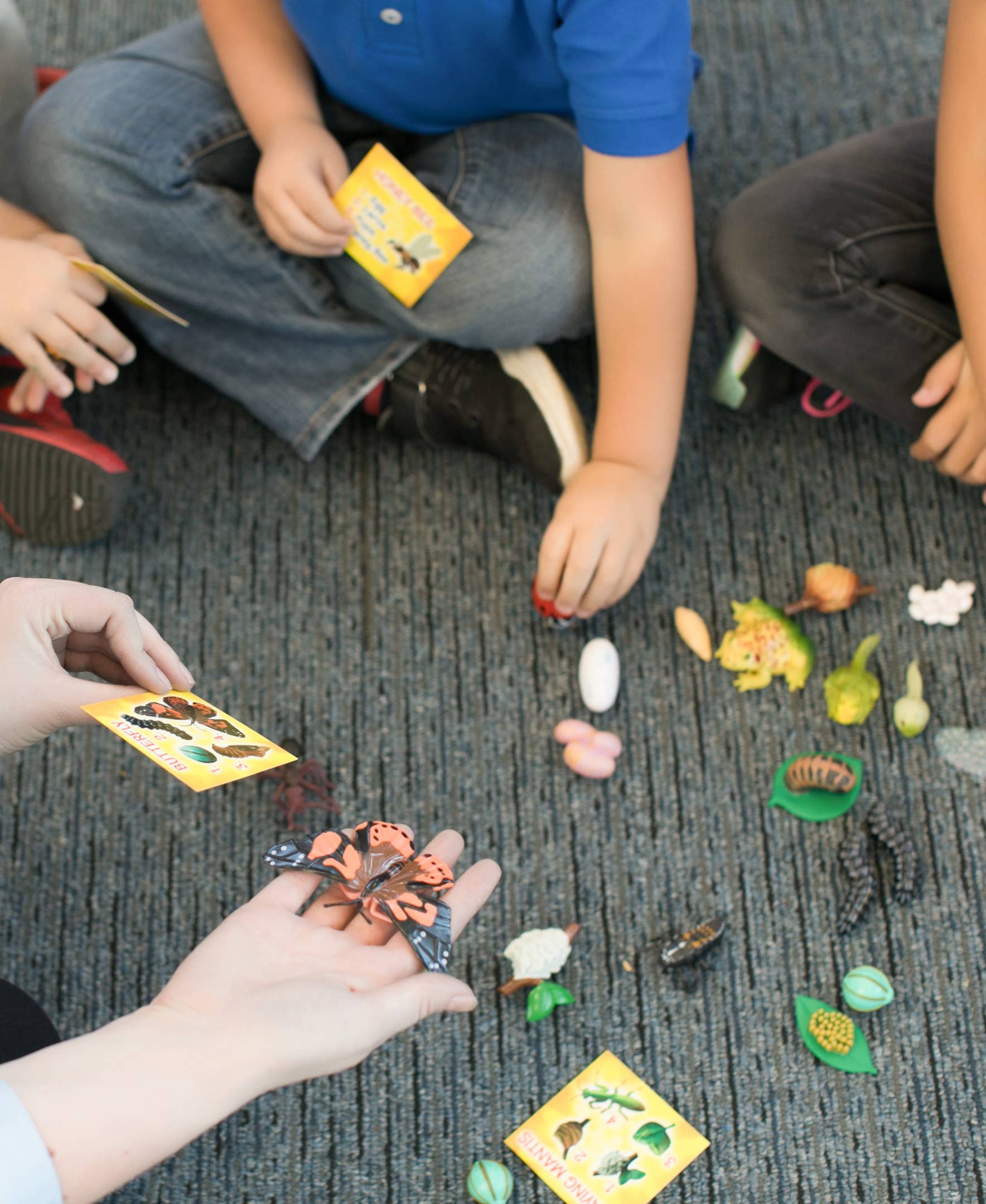 Life Cycle Figurines - 24 Piece Set