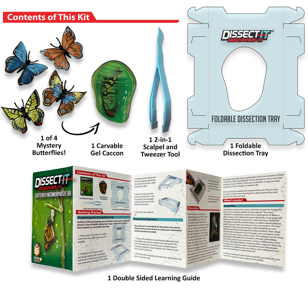 Discover-It Dissect It Butterfly Metamorphosis Lab