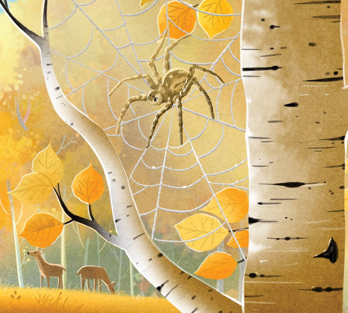 When You Go Into Nature Picture Book
