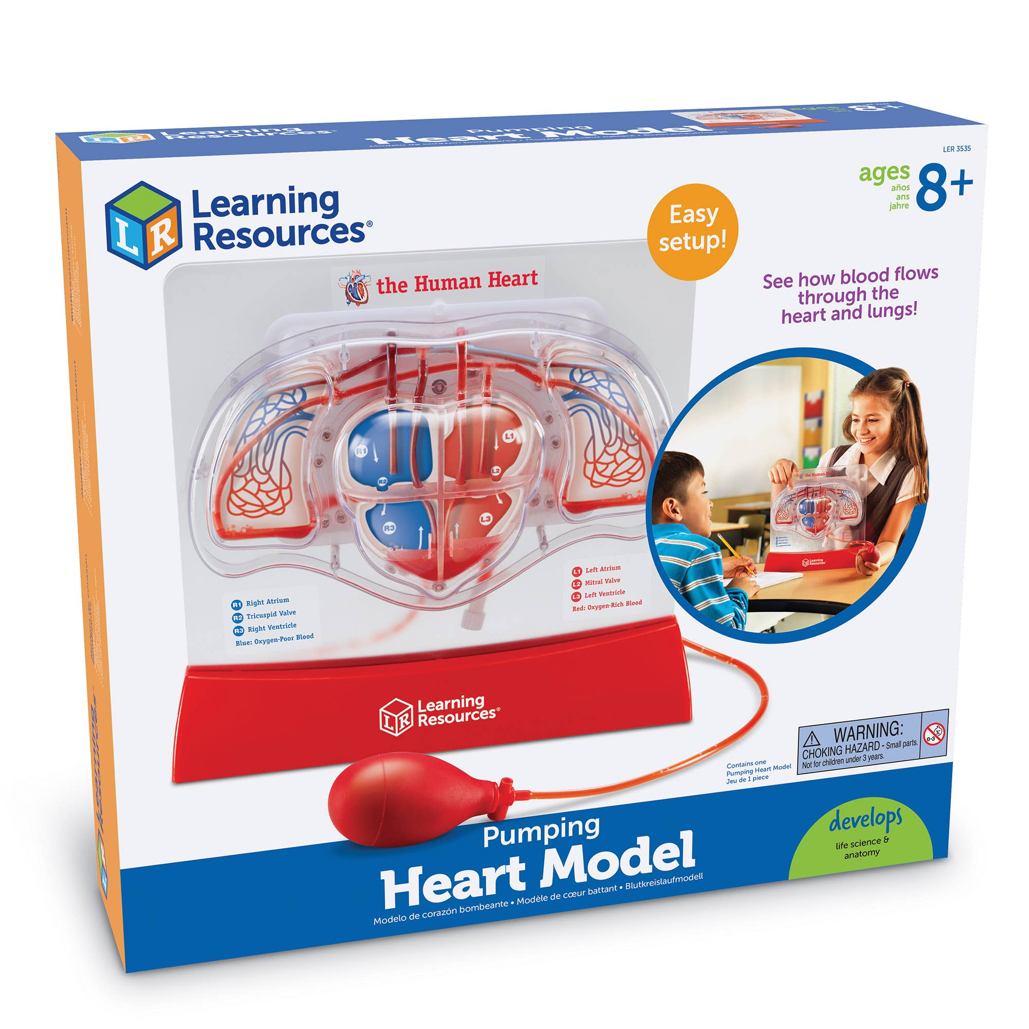 Pumping Heart Model